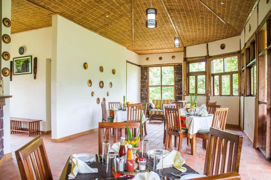 From Kigali: 2-Day Gorilla Trek: Bwindi Nat Park - Who should book this experience?