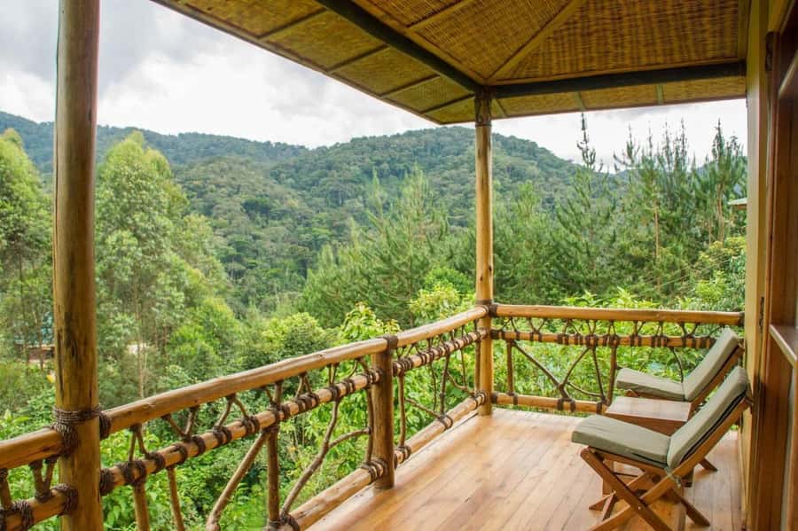 From Kigali: 2-Day Gorilla Trek: Bwindi Nat Park - Day one: Kigali to the Ugandan gorilla country