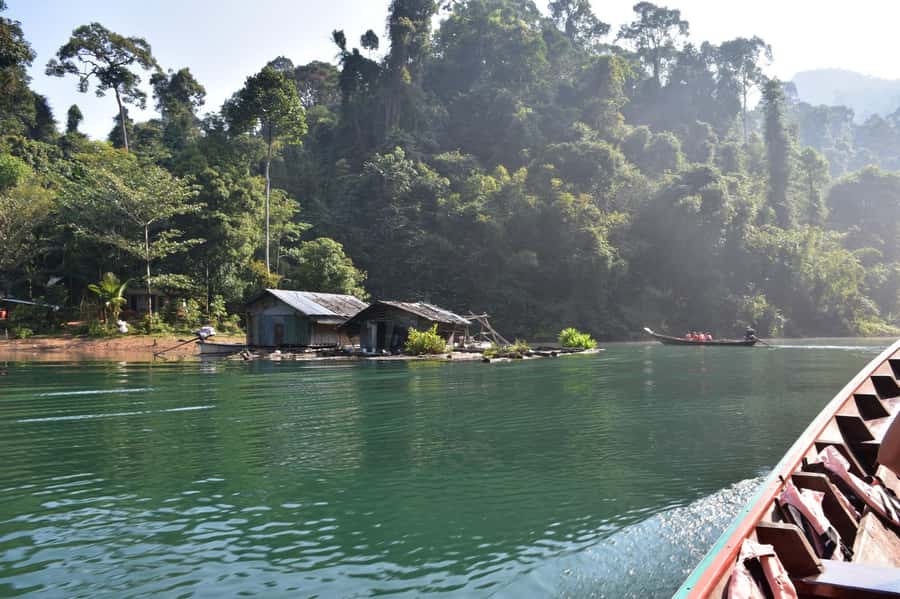 From Krabi: Cheow Lan Lake Cruise and Khao Sok Jungle Hike - Coral Cave and the jungle walk