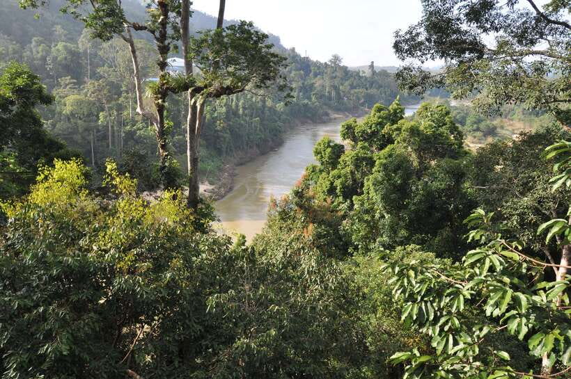 From Kuala Lumpur: Taman Negara National Park Trek Day Tour - The day in five useful points