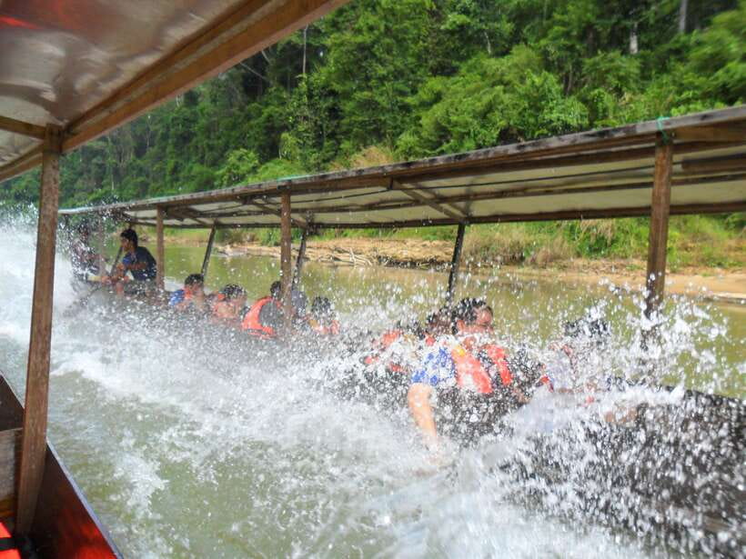 From Kuala Lumpur: Taman Negara National Park Trek Day Tour - Why this Taman Negara day trip works