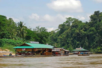 From Kuala Lumpur: Taman Negara National Park Trek Day Tour