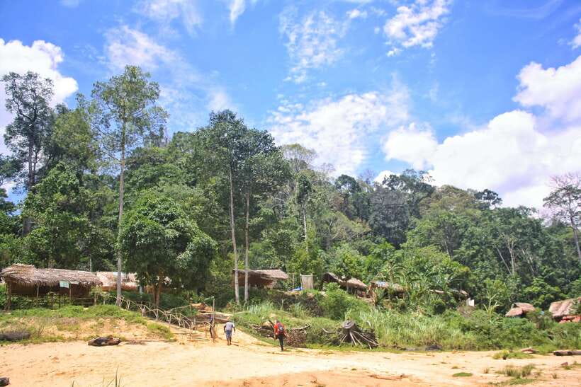 From Kuala Lumpur: Taman Negara National Park Trek Day Tour - Lunch at the floating restaurant