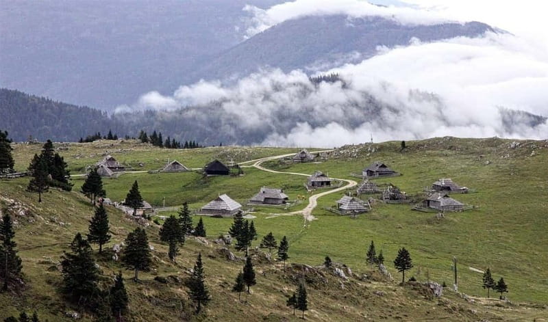 From Ljubljana: Velika Planina Guided Hike - Why Velika Planina makes a fine escape from Ljubljana