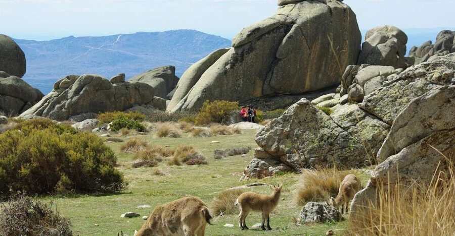From Madrid: Sierra de Guadarrama Hiking Day Trip - Key points to know before booking
