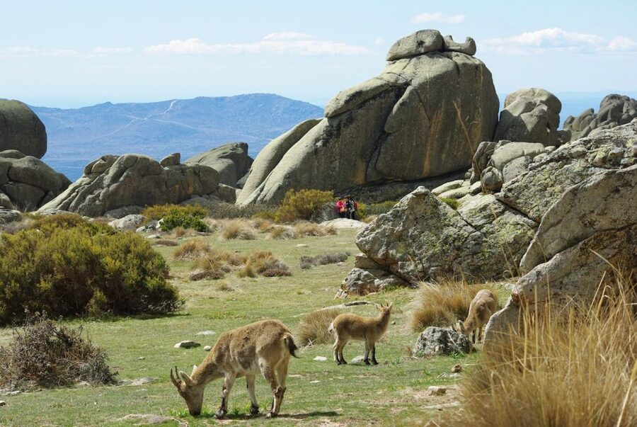 From Madrid: Sierra de Guadarrama Hiking Day Trip - Leaving Madrid for the Sierra de Guadarrama