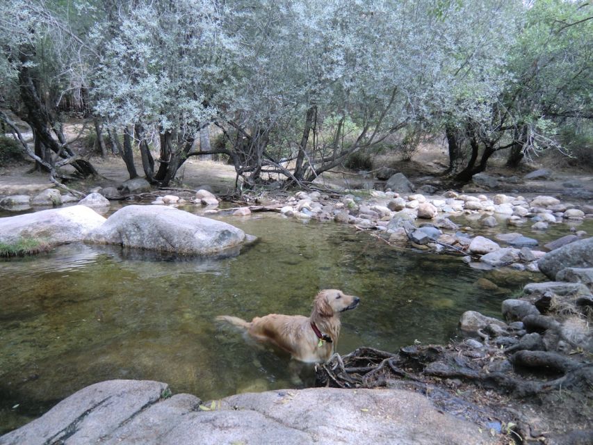From Madrid: Sierra de Guadarrama Hiking Day Trip - Adding Segovia to a mountain day