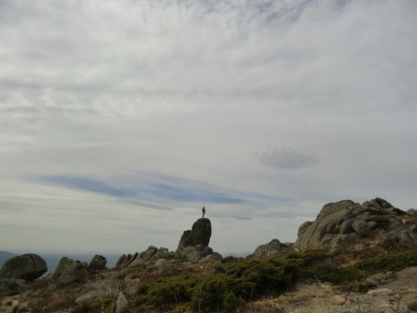 From Madrid: Sierra de Guadarrama Hiking Day Trip - What hiking in the national park feels like