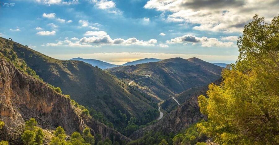 From Málaga: El Saltillo Gorge and White Village Hiking Tour - Olive trees, goats, and the return to Málaga