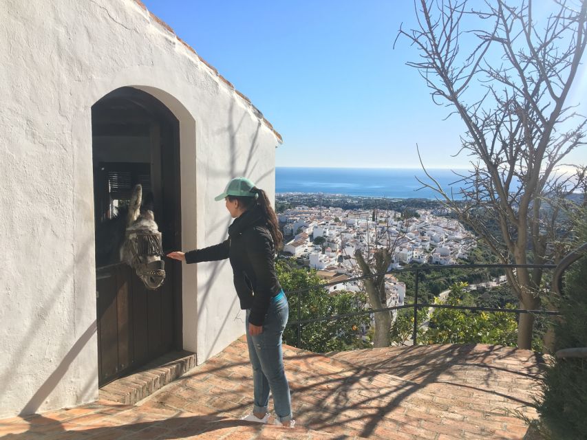 From Málaga: Frigiliana Hiking Tour with Wine & Appetizers - Key points to know before you book