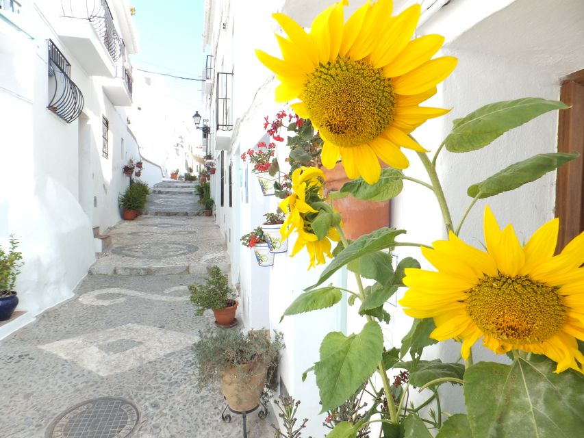 From Málaga: Frigiliana Hiking Tour with Wine & Appetizers - Following the old Arab irrigation canal