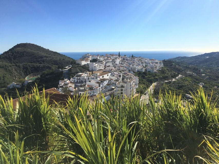 From Málaga: Frigiliana Hiking Tour with Wine & Appetizers - Who will enjoy this outing most