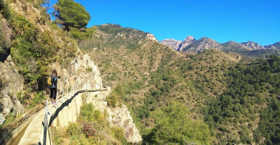 From Málaga: Frigiliana Hiking Tour with Wine & Appetizers - Walking through avocado country