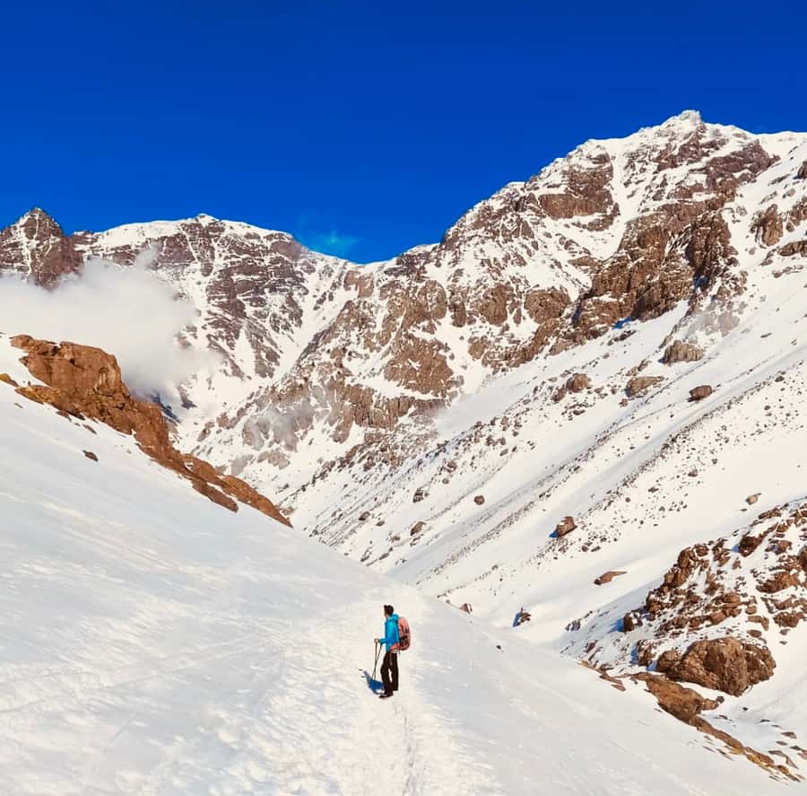 From Marrakech: 3-Day Mount Toubkal Climbing Trek - Guides, muleteers, and group size