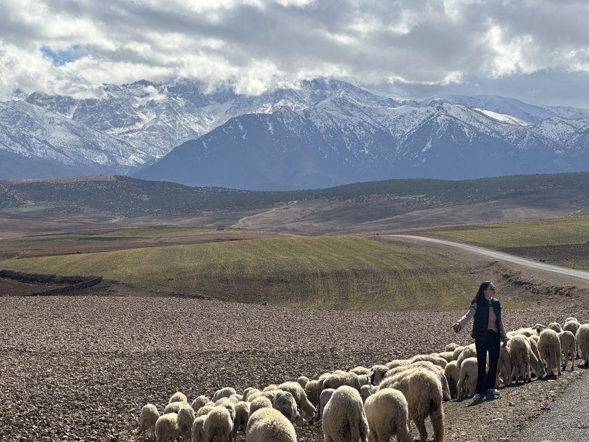 From Marrakech: Atlas Mountains 4-Day Hike with Hotels - Key points to know before booking
