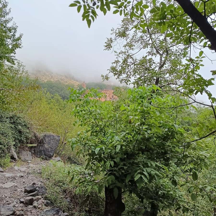 From Marrakech: Atlas Mountains Summit Trek - What the $69 price really includes