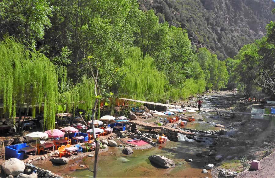 From Marrakech: Ourika Valley Trip, Waterfall Hike & Lunch - What the Guide and Driver Add
