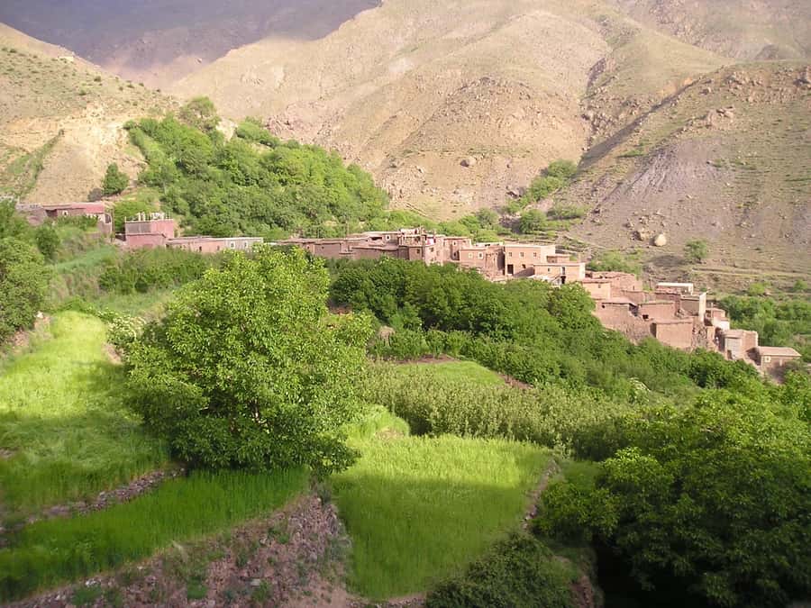 From Marrakech: Ourika Valley Trip, Waterfall Hike & Lunch - Should You Book the Ourika Valley Trip?
