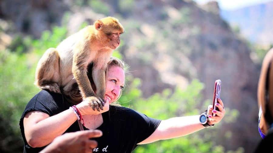 From Marrakech: Ouzoud Waterfalls Guided Hike and Boat Tour - Walking from the rim to the water