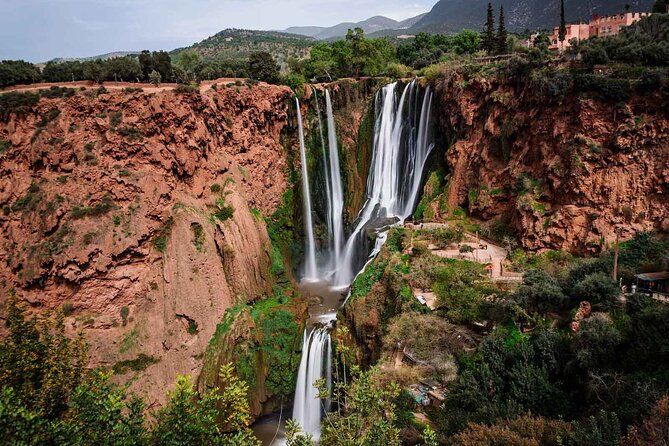 From Marrakech: Ouzoud Waterfalls Guided Hike and Boat Trip - Olive groves, Amazigh culture, and argan oil