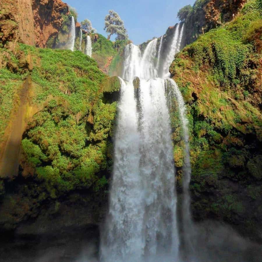 From Marrakech: Ouzoud Waterfalls Guided hike & boat Ride - Lunch with a view, at extra cost
