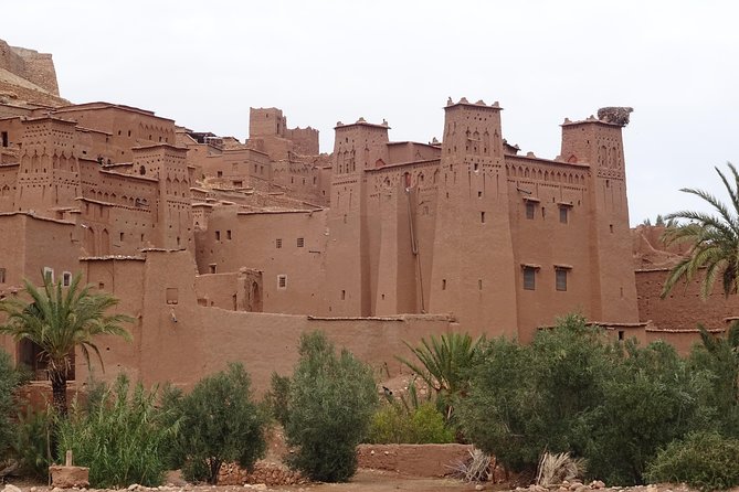 From Marrakech: Private Tour to Oasis and Trekking in the Desert of Erg Chigaga - What the private format adds