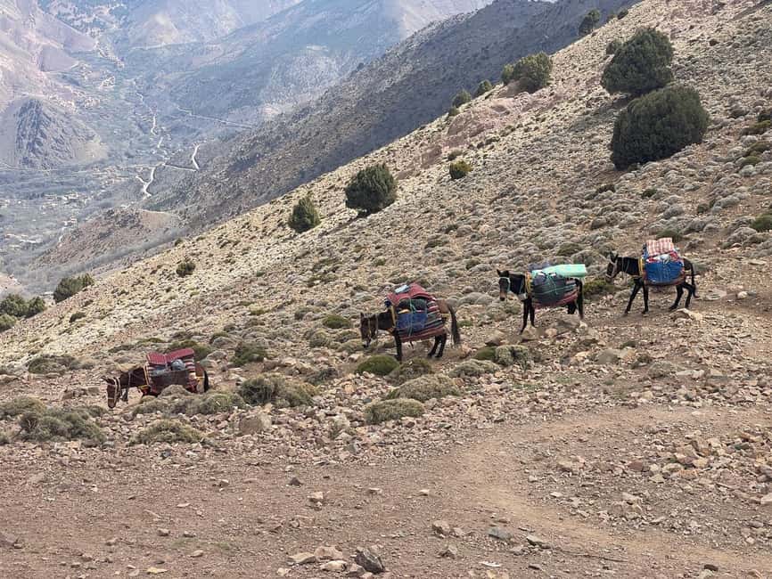From Marrakech: Trek to Atlas Mountains, Full-Day Trip Lunch - Guides, breaks, and the pace of the trail
