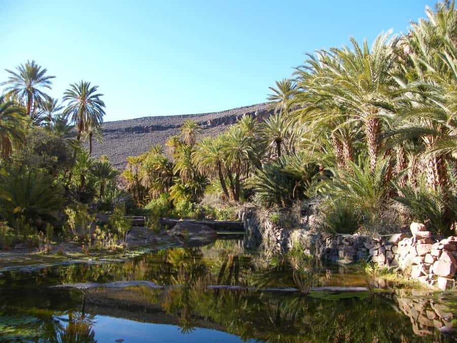 From Marrakesh: 2-Day Trek to Ait-Benhaddou and Ouarzazate - The overnight stay near Ait Benhaddou or Ouarzazate
