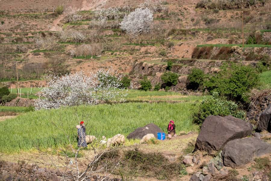 From Marrakesh: Atlas Mountains Talamrout Summit Day Hike - What to pack for Talamrout
