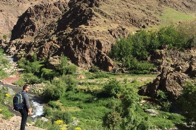 From Marrakesh: Zip-Line & Hike in the Atlas Mountains - Lunch with Atlas Mountain views