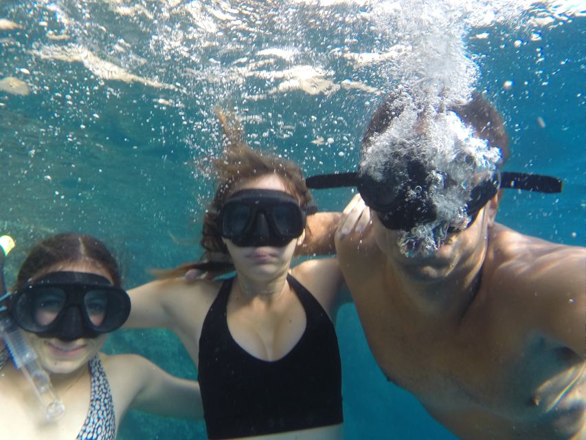 From Marseille: Calanques National Park Guided Hike - Pine woods, rosemary, and the first coastal views