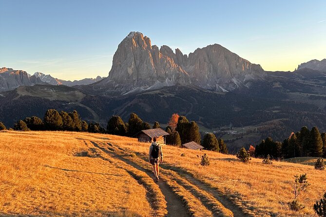 From Milan/Como/Varenna: Panoramic Hiking Tours near Lake Como - Andrey, Svetlana, and the value of a private guide