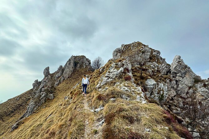 From Milan/Como/Varenna: Panoramic Hiking Tours near Lake Como - Price and what you receive for $178.54