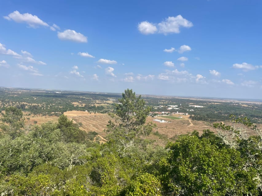 From Montemor or Évora: Guided Hike to Almendres Megalithic - Is this the right outing for you?