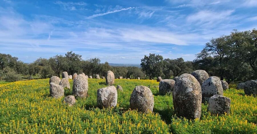 From Montemor or Évora: Guided Hike to Almendres Megalithic - Walking the Serra de Valverde