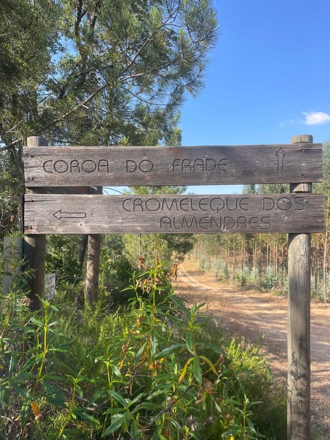 From Montemor or Évora: Guided Hike to Almendres Megalithic - Reaching the Almendres Cromlech and Menhir