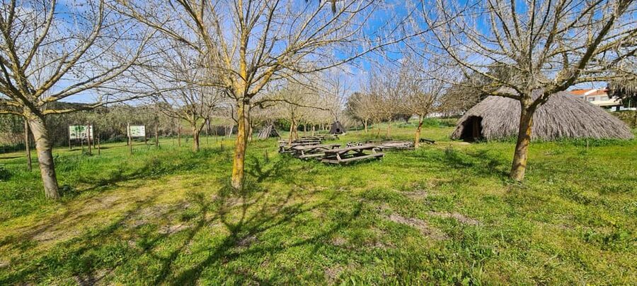 From Montemor or Évora: Guided Hike to Almendres Megalithic - The Guadalupe interpretation center