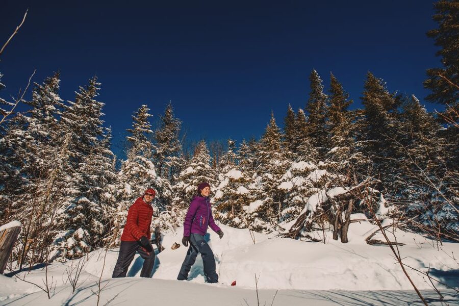 From Montreal: Mont-Tremblant National Park Hiking Day Trip - Should you book this Mont-Tremblant day trip?