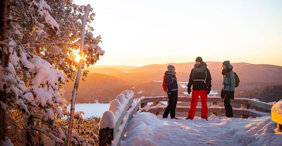 From Montreal: Mont-Tremblant National Park Hiking Day Trip - Forest trails, water, and a quiet picnic