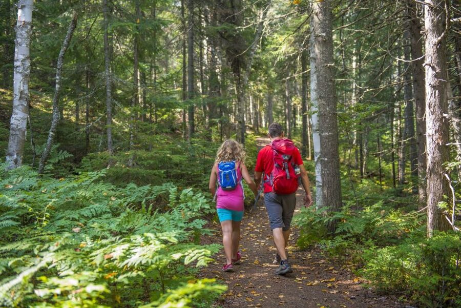 From Montreal: Mont-Tremblant National Park Hiking Day Trip - Viewpoints at L’Envol, Le Geai Bleu, and Mont-des-Cascades