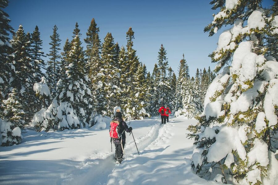 From Montreal: Sept-Chutes Regional Park Hike - What the transport adds to the $73 price