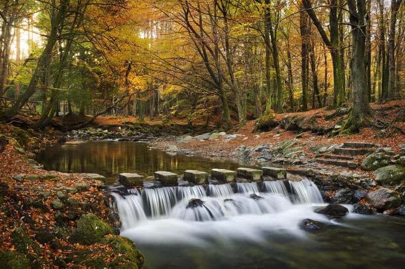 From Newcastle: Game of Thrones Tollymore Forest Trek - The wildling pit and the show’s first scene