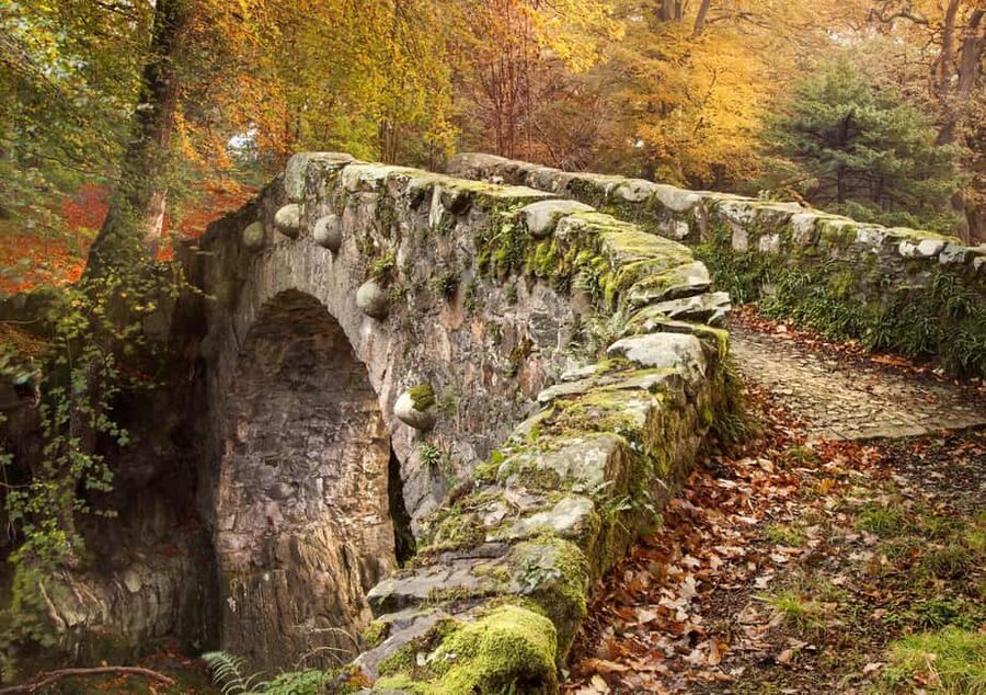 From Newcastle: Game of Thrones Tollymore Forest Trek - What the guide adds