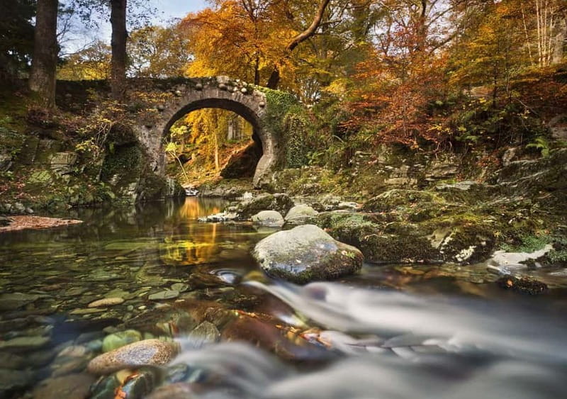 From Newcastle: Game of Thrones Tollymore Forest Trek - Who should book this walk?