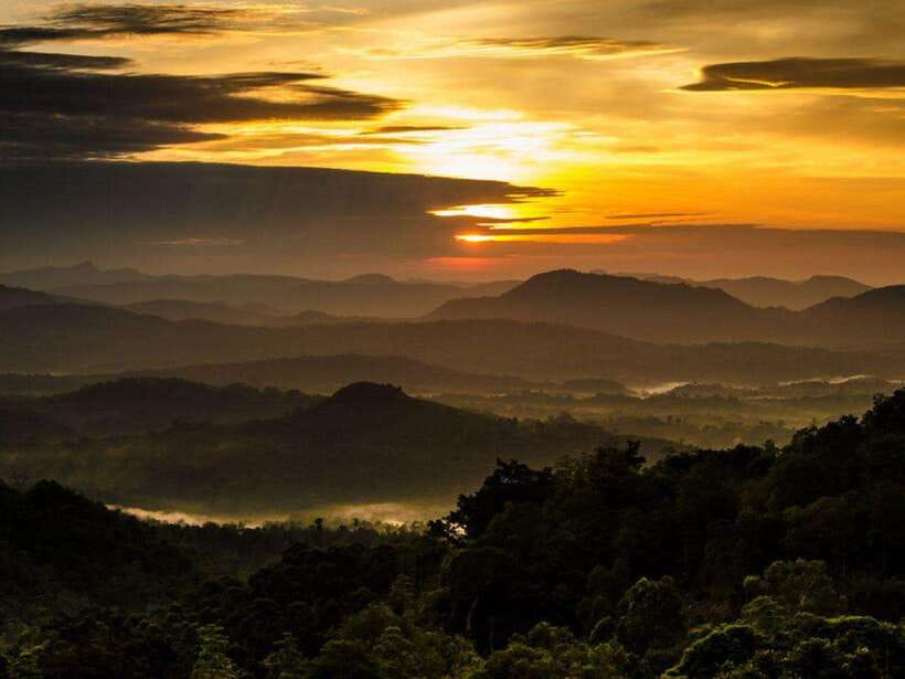 From Nuwara Eliya: Summit Bliss, Adams Peak Guided Hike - Leaving Nuwara Eliya at 9 pm