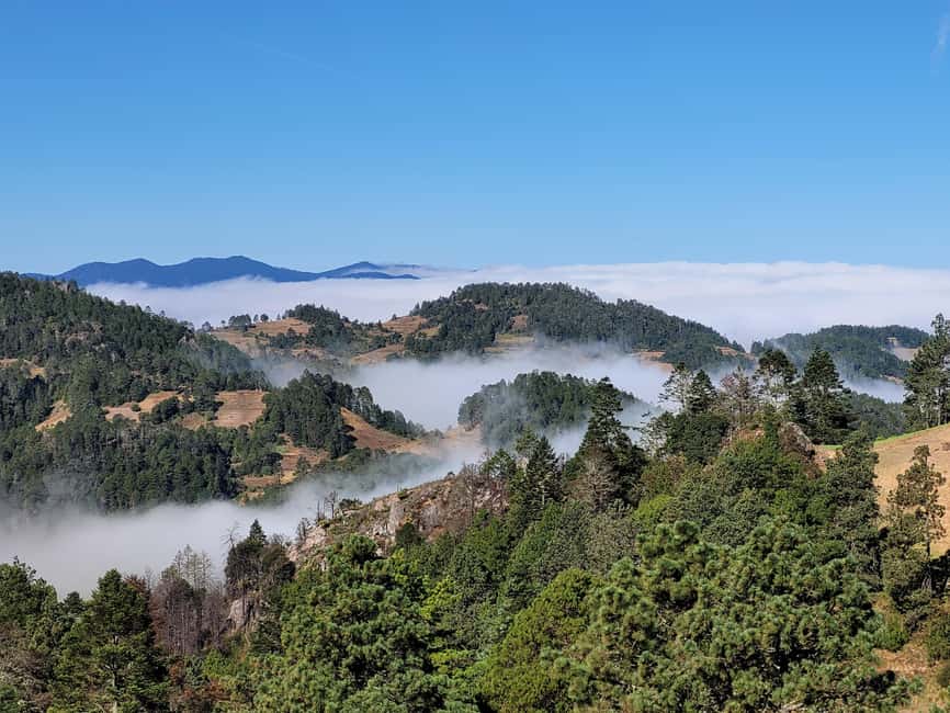 From Oaxaca: Sierra Norte Hike & Indigenous Village Full-Day - Key points to know before booking