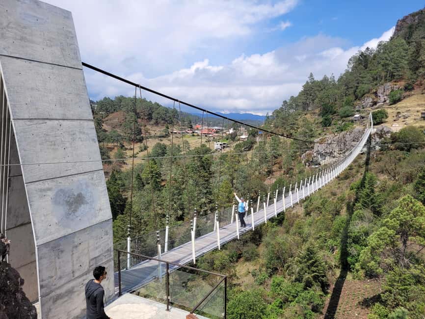 From Oaxaca: Sierra Norte Hike & Indigenous Village Full-Day - A moderate hike through cloud forest
