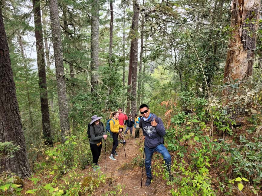 From Oaxaca: Sierra Norte Hike & Indigenous Village Full-Day - Meeting an Indigenous mountain community