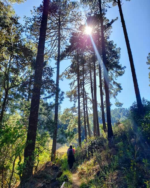 From Oaxaca: Sierra Norte Hike & Indigenous Village Full-Day - Homemade Oaxacan food in the mountains