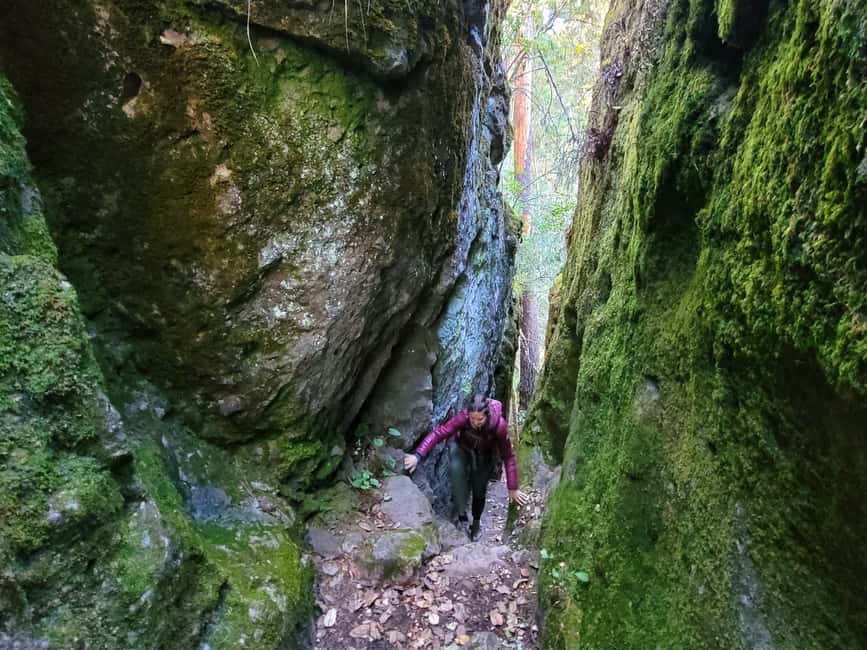 From Oaxaca: Sierra Norte Hike & Indigenous Village Full-Day - Small-group format and guide support